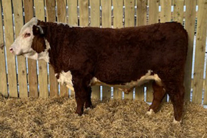 Rawcliffe Grange Stock Farm Rawcliffe Grange Stock Farm